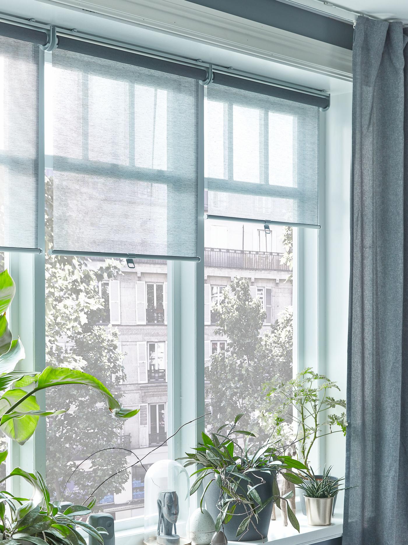 SKOGSKLÖVER roller blinds.