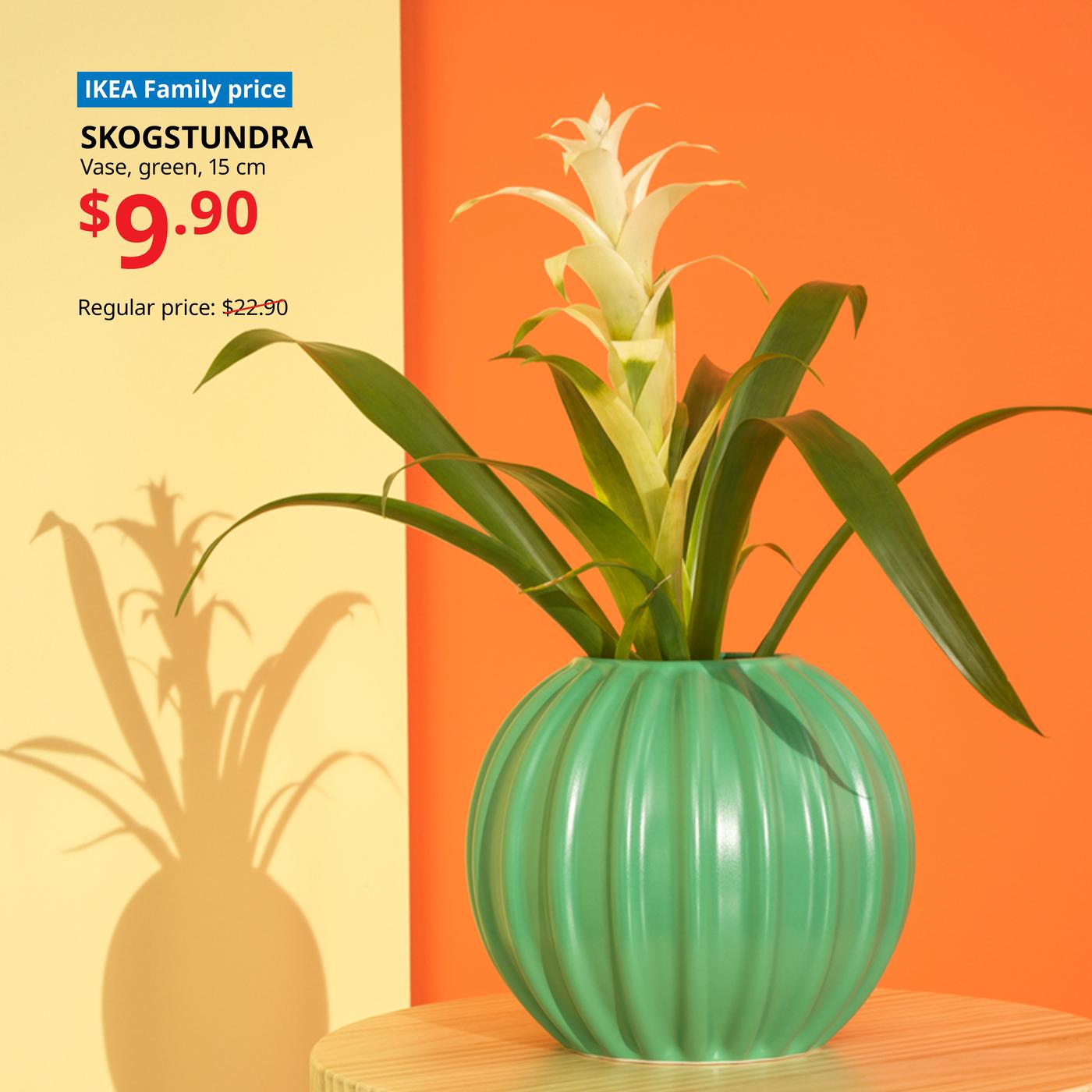 SKOGSTUNDRA green 15 cm vase with a leafy plant on a wooden surface against a split yellow and orange background; IKEA Family price $9.90, reduced from $22.90.
