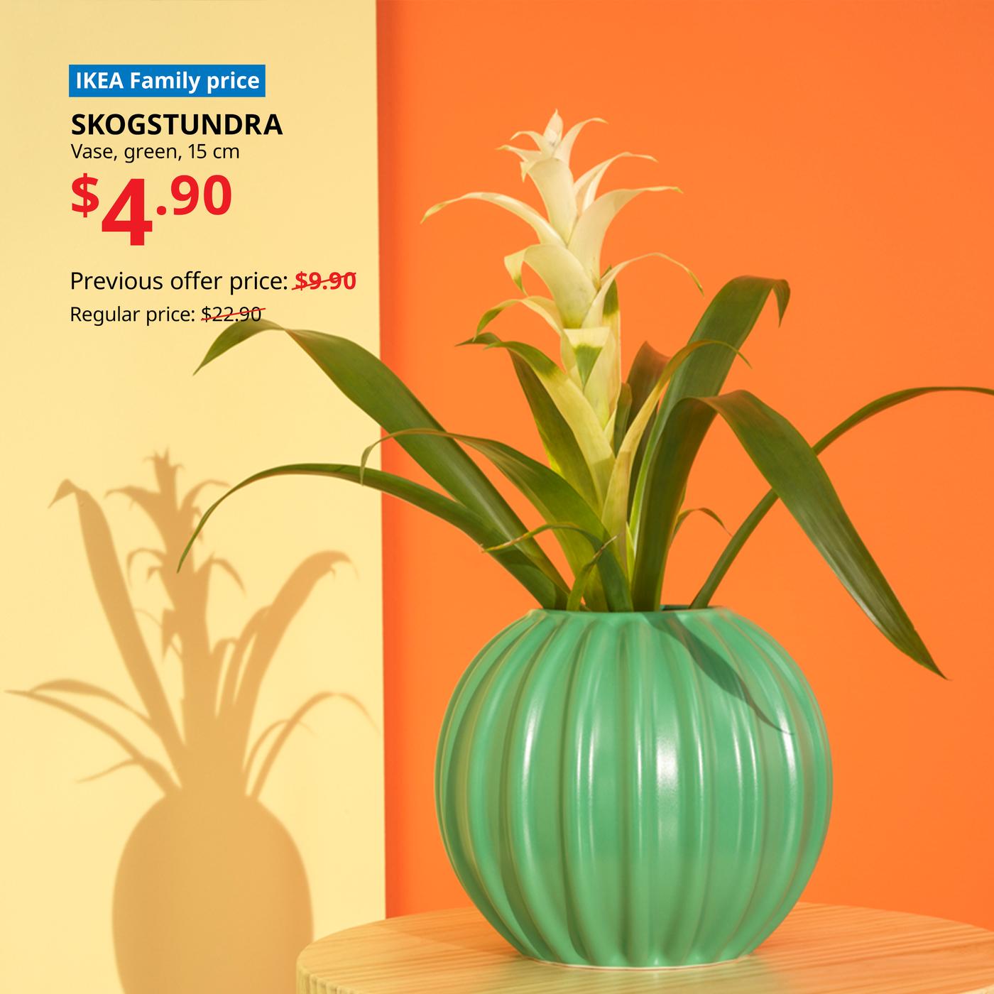 SKOGSTUNDRA green 15 cm vase with a leafy plant on a wooden surface against a split yellow and orange background; IKEA Family price $4.90, Previous offer price: $9.90, reduced from $22.90.