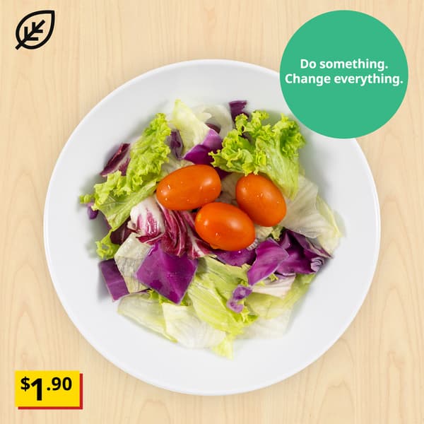 Small green salad with locally grown kale, arugula, oak leaf lettuce and cherry tomato with citrus dressing. Breathtaking item price: $1.90. Plant food symbol at top left corner.