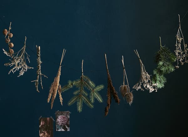 Small sprigs of dried foliage hanging from a string.