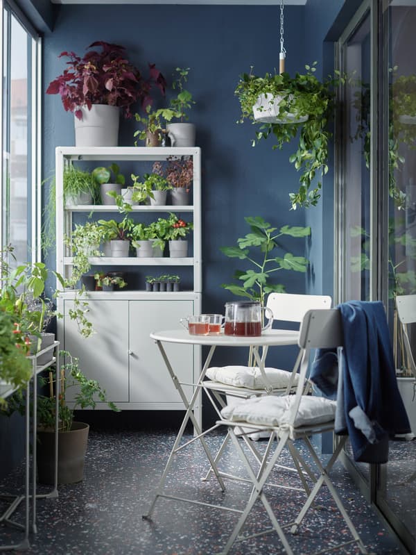 Small terrace with plants