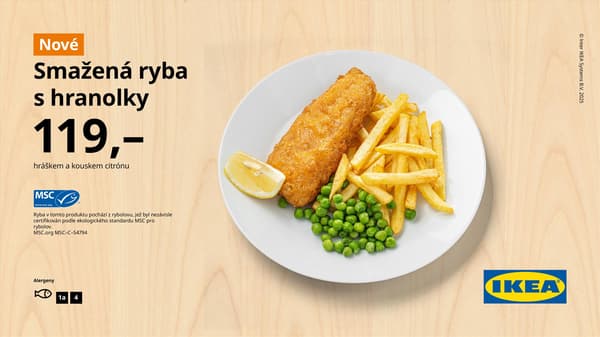 Smažená ryna s hranolky