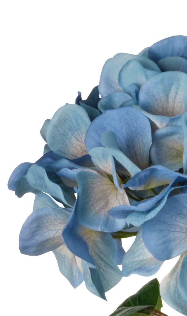 SMYCKA – modrá umělá hortenzie.