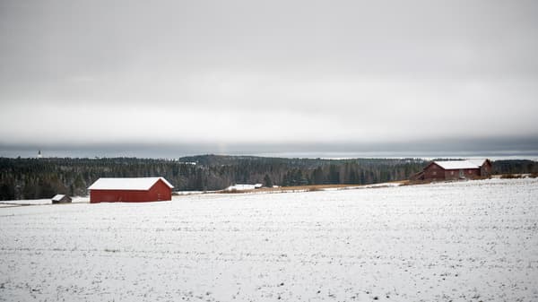 Snötäckt landskap med en röd stuga och mörk skog i bakgrunden. 
