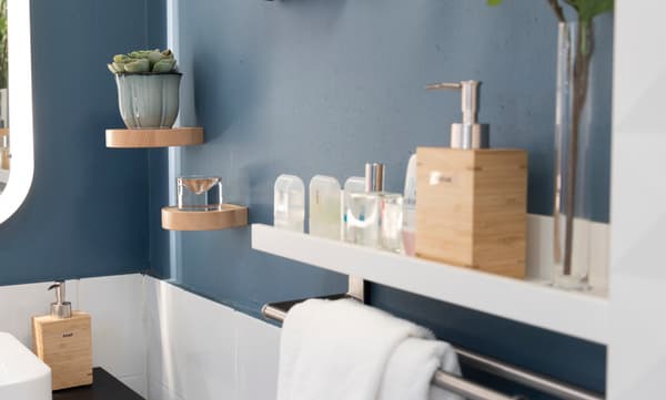 Soap dispenser & picture ledge