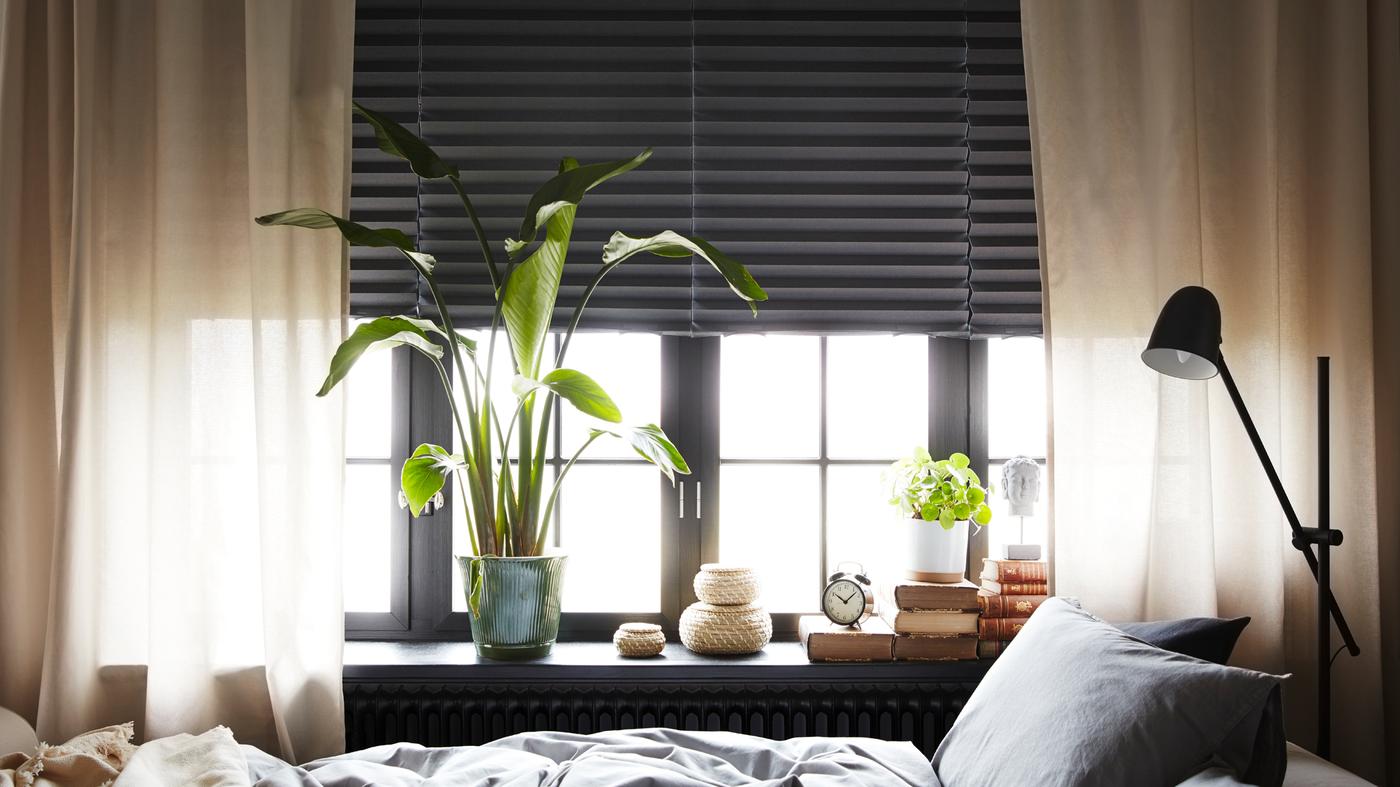 Sofa na razvlačenje koja se upotrebljava kao krevet ispred prozora sa SCHOTTIS plisiranim zastorima za zamračivanje i prozirnim zavjesama.