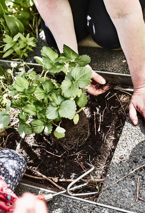 Soil under the paving makes balcony space adaptable 
