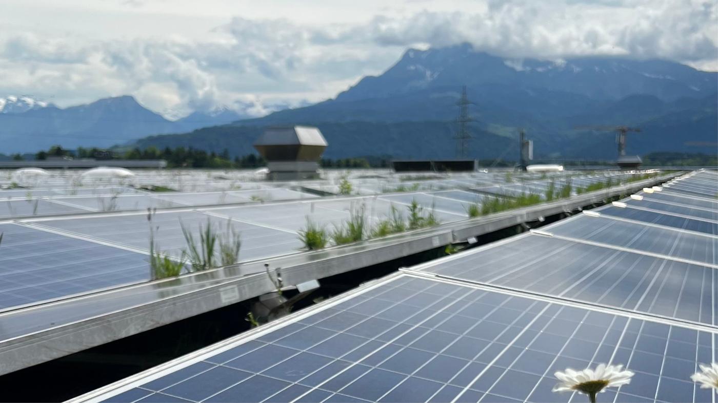 Solarzellen auf dem Dach bei IKEA Rothenburg