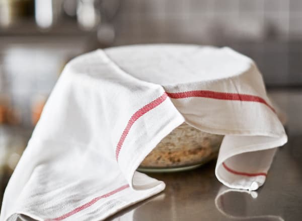 Sourdough pre-ferment rises in a glass bowl covered by a towel.