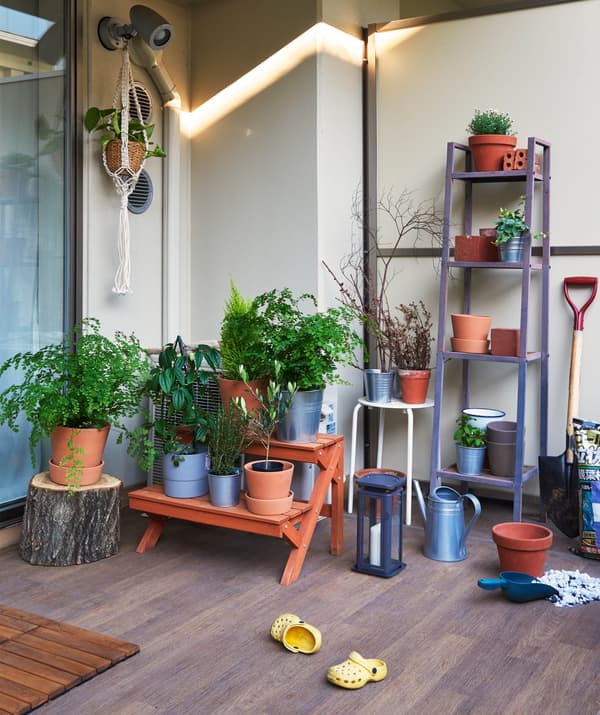 Spazio all'aperto con pavimento in legno e piante in vaso su panche e scaffali.