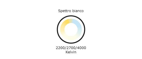 Spettro bianco 