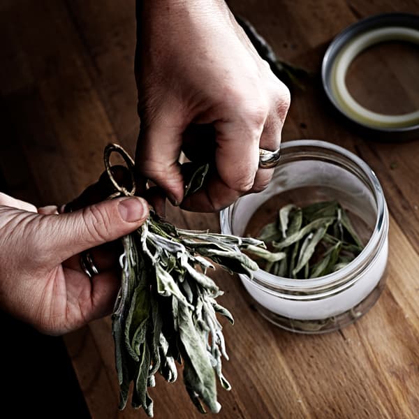Spices hate heat and moisture, so keep them airtight and away from the stovetop.