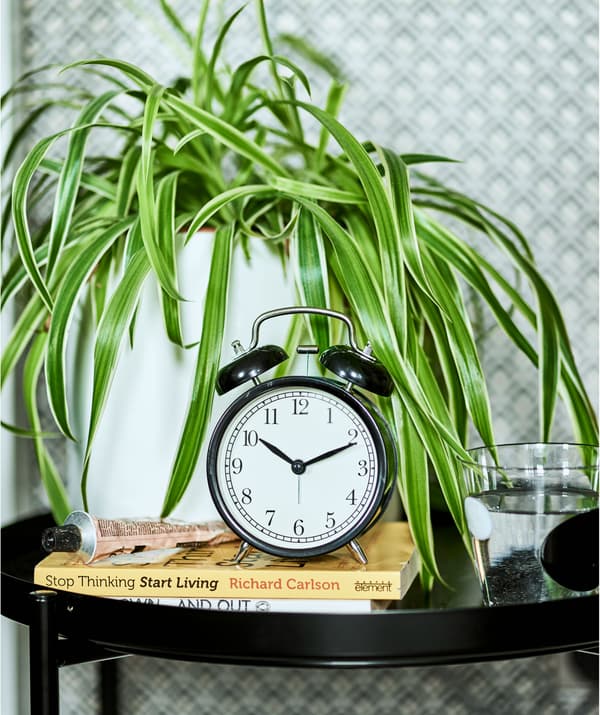 นาฬิกาปลุกสีดำบนกองหนังสือบนโต๊ะวางถาดสีดำที่มีต้นเศรษฐีเรือนใน (Spider plant) อยู่ในกระถางสีขาว