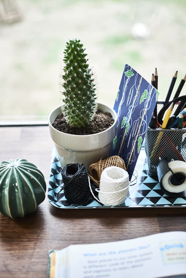 Stationary and a cactus in a pot on a small tray.