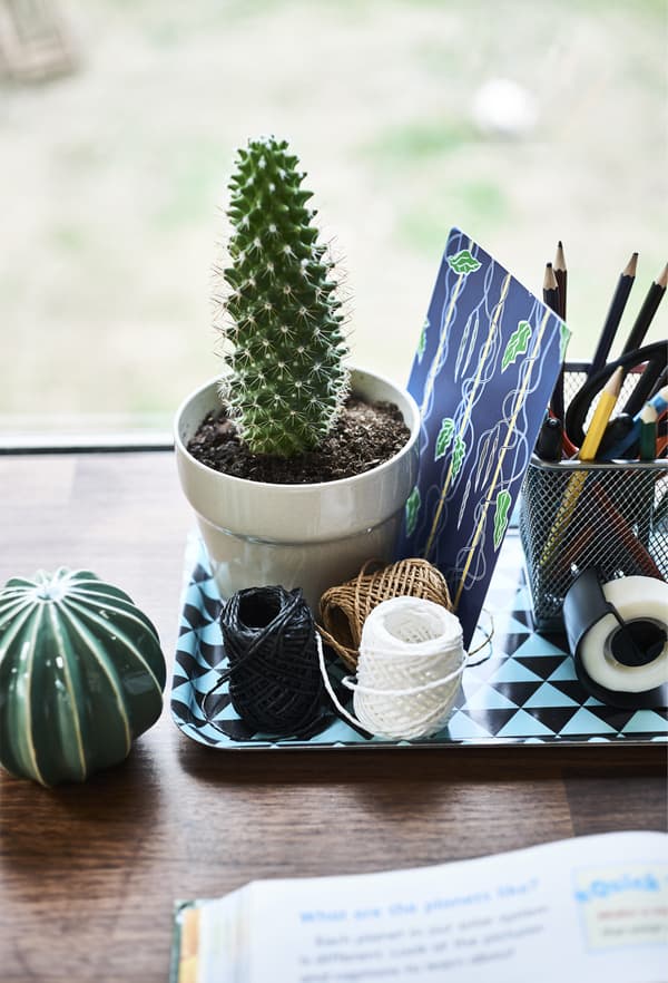 Stationery and a cactus in a pot on a small tray.
