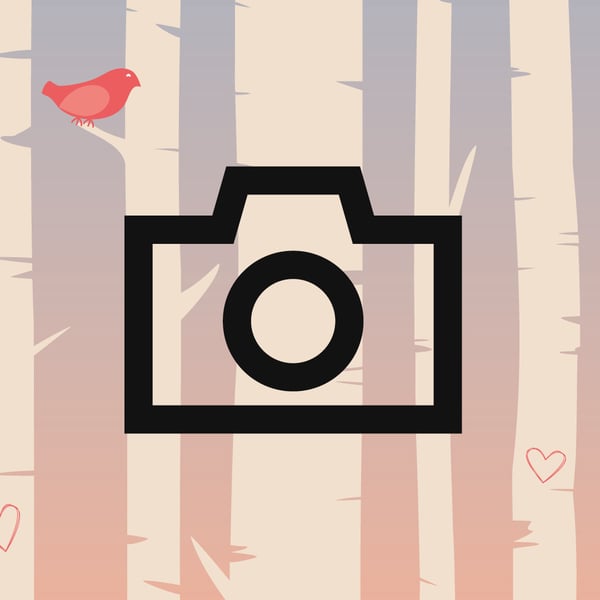 Stilisierter Photoapperat.