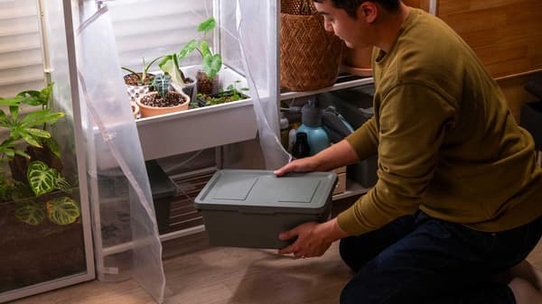 수납 앰배서더 DW 이야기