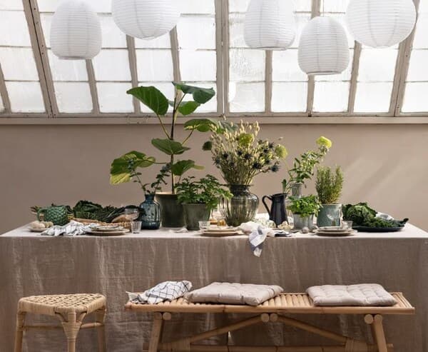 Style your home with indoor plant decor