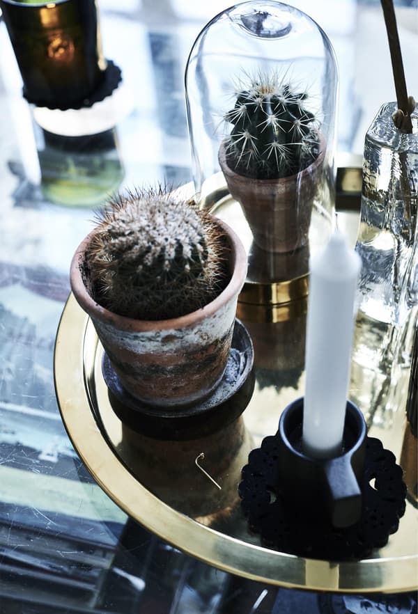 Succulents and candles on a gold tray.