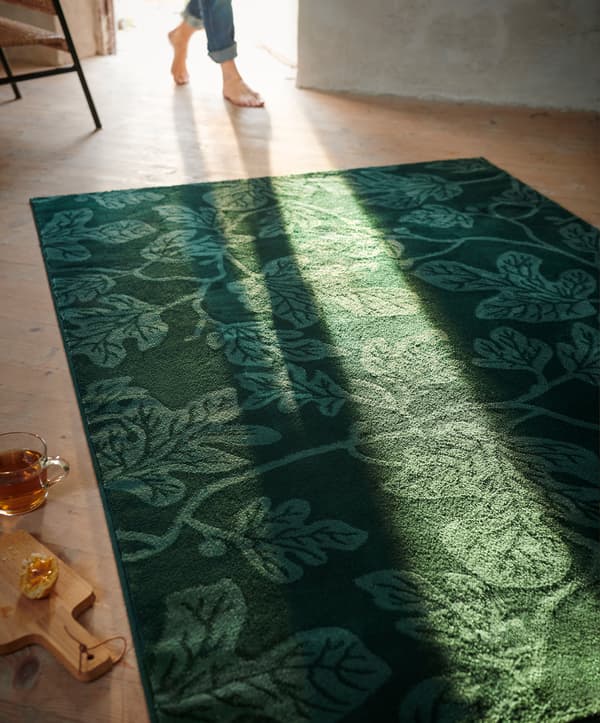 Sun shines through an open door onto a green leaf-patterned rug.