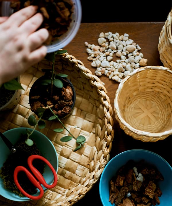 Sur une table, corbeilles remplies de matériaux de jardinage.