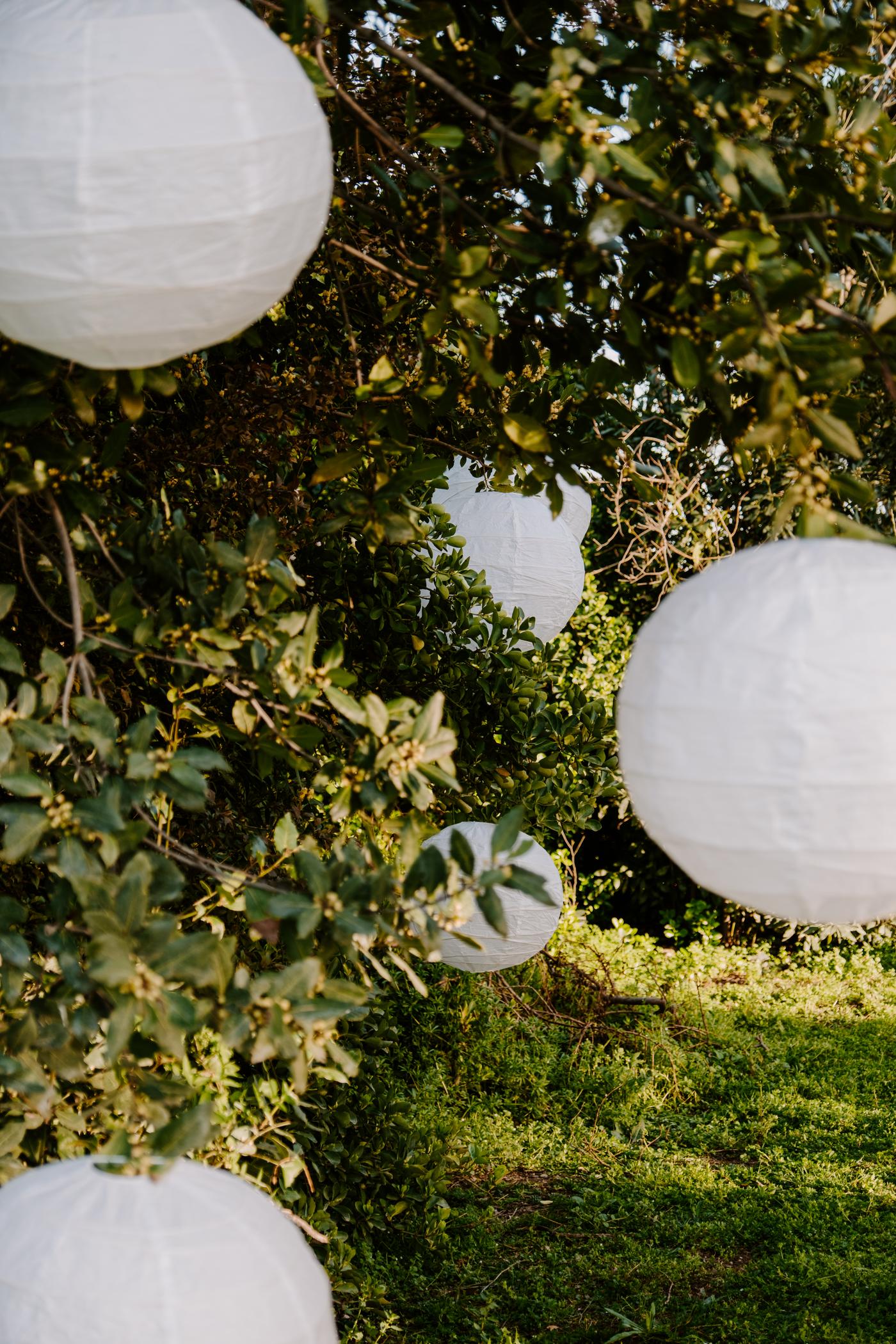 Suspensions en papier accrochées à un arbre