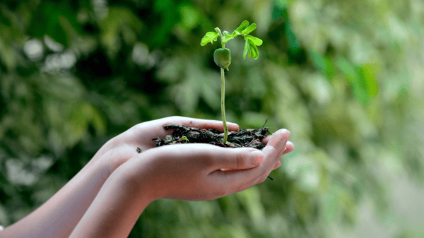 Sustainability