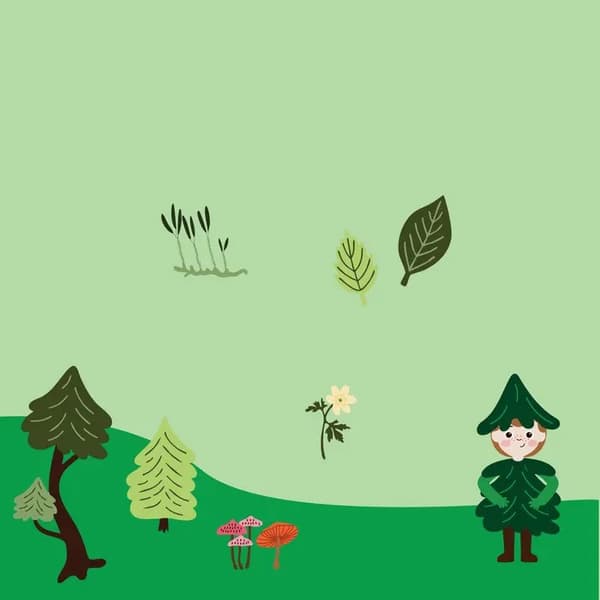 Sustainability Activity