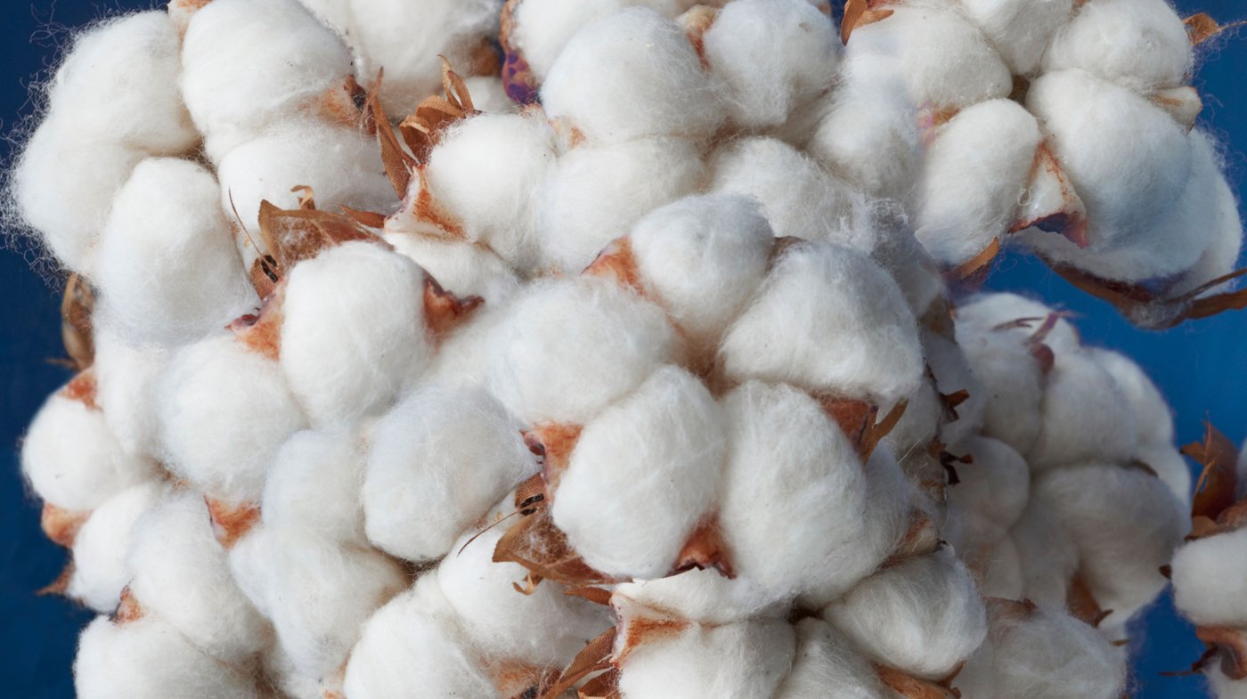 Cotton at IKEA 100 sustainable IKEA