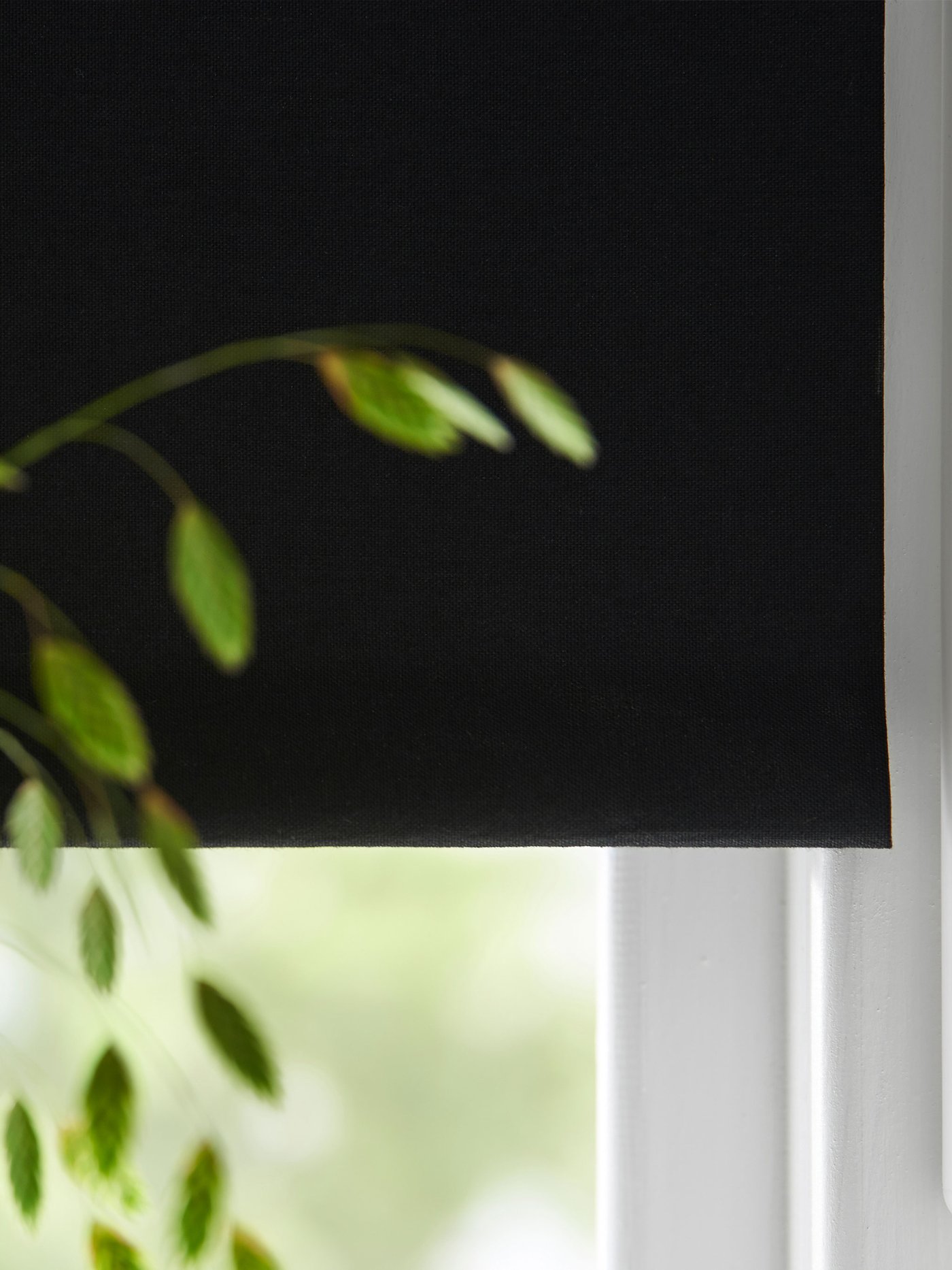 Svart mörkläggande rullgardin neddragen framför ett fönster, med gröna blad synliga vid sidan.