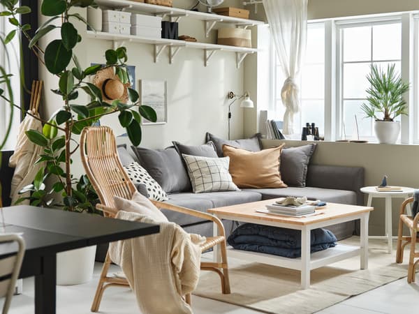Svetla dnevna soba z velikimi okni, HOLMSUND kotno raztegljivo zofo in HEMNES klubsko mizico, tekstilom in velikimi rastlinami.