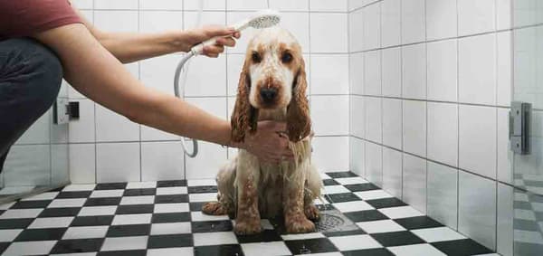 switch-to-ikea-taps-and-showers-to-save-water-in-the-bathroom