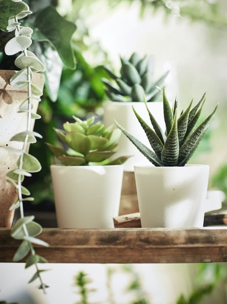 Sztuczne rośliny i kwiaty