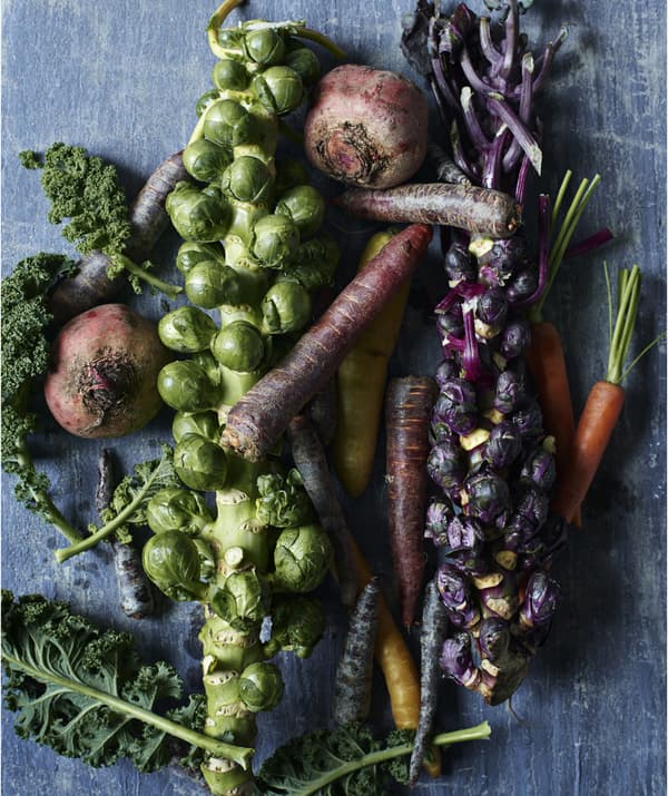 Table of vegetables, including carrots, Brussels sprouts and kale.