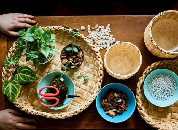 Table sur laquelle sont disposées des plantes et des corbeilles remplies de cailloux et de matériaux naturels.