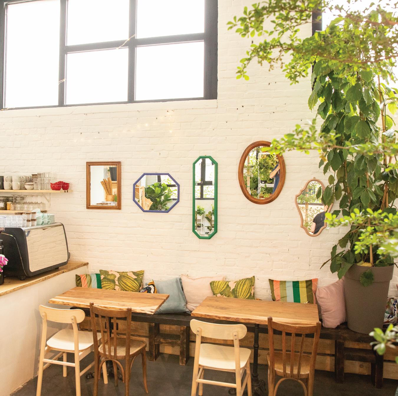 Tables de restaurant pour 4 personnes avec des miroirs accrochés au dessus et des plantes sur le côté droit.