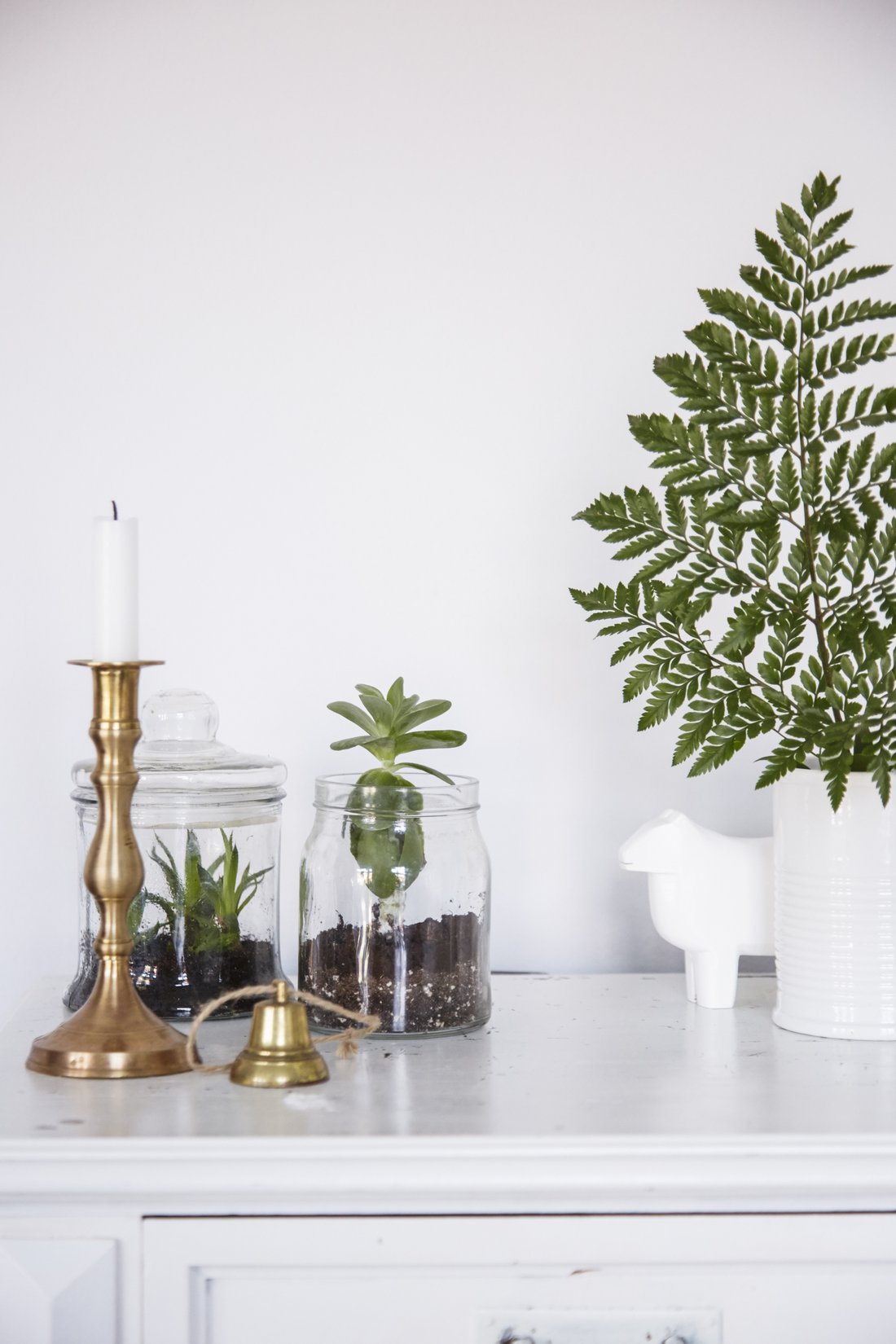 Tips for indoor plants IKEA