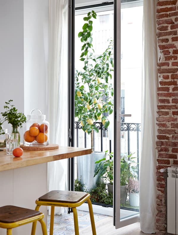 Tall plants by a window create a natural decorative screen.