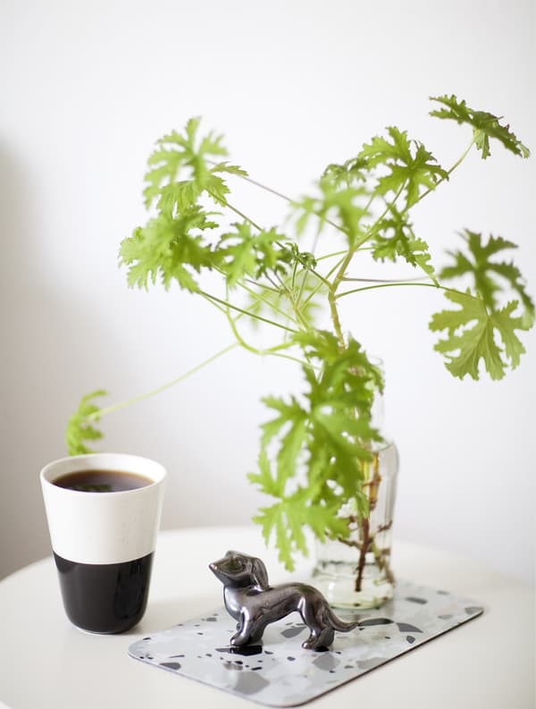 Tasse, branche de plante verte et chien décoratif exposés ensemble.
