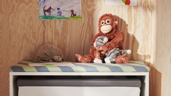 TERMINOS Y CONDICIONES PROMOCIONALES  “El orangután se nos metió al feed”
