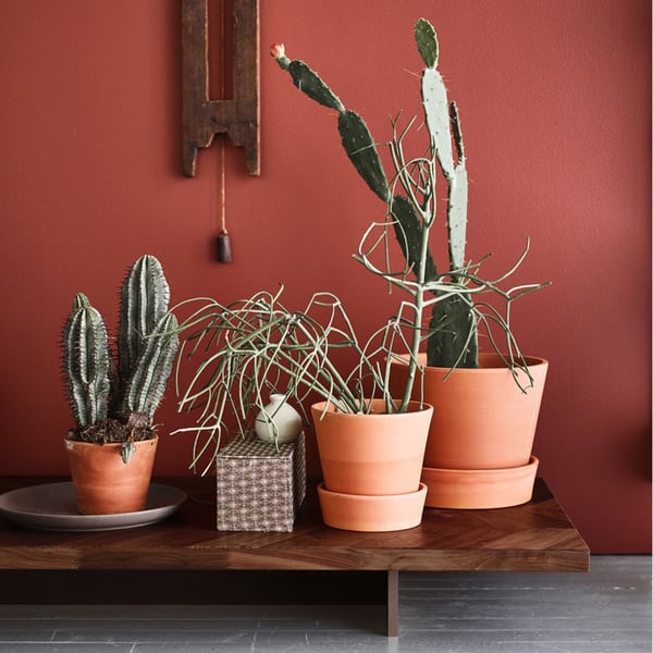 Plant Pot Plant Pots IKEA