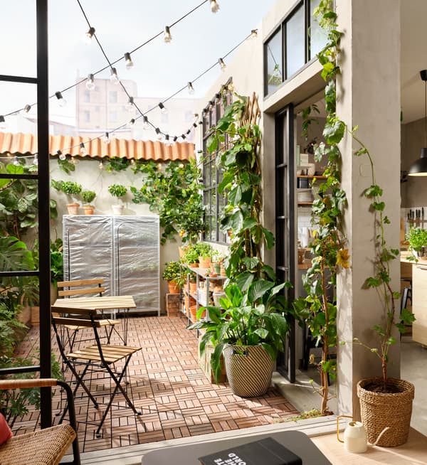 Terrasse med RUNNEN gulvfliser af træ. Langs væggene står masser af planter i forskellige størrelser i urtepotteskjulere.
