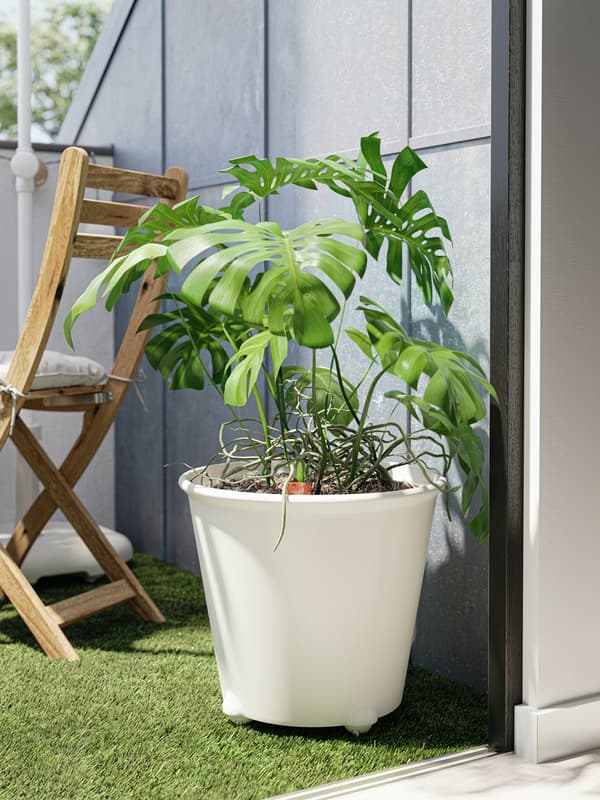 terraza apaintzeko ikea landare naturalak
