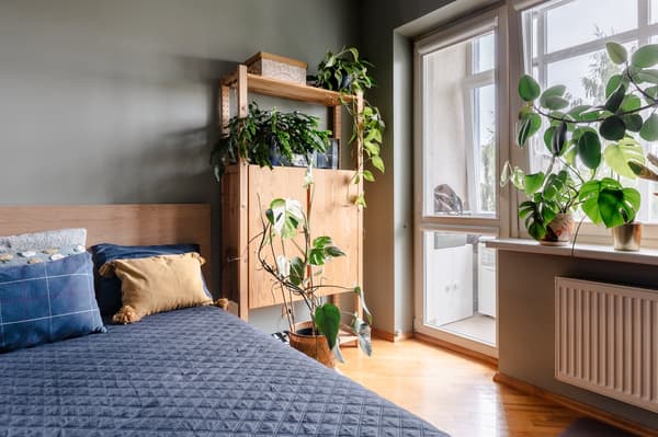 The bedroom before the makeover: a bed with a dark blue bedspread, a wooden shelving unit filled with plants, and large windows that let in plenty of natural light.