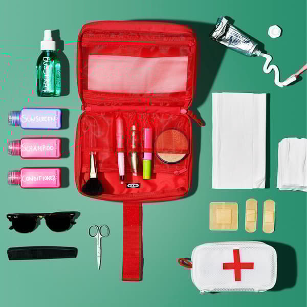 The contents of an accessory bag are laid out neatly on a green surface around it.