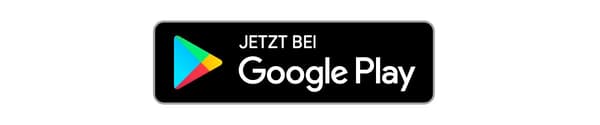 The Google Play Store logo