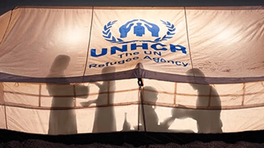 仙人掌　live on refugee This co-op aims to help new immigrants, refugees settle