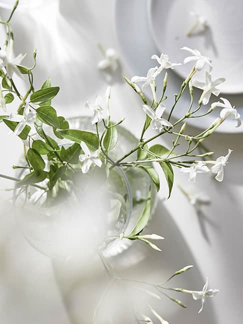 The picture shows a glass vase with white flowers and green leaves, surrounded by a white plate and scattered petals on a white background in soft light.