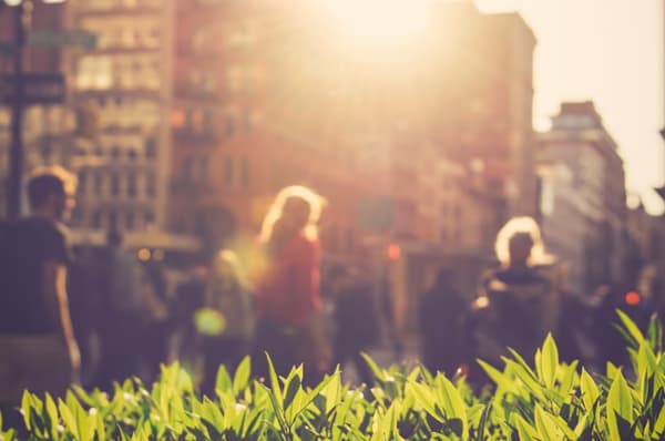 The sun setting behind a building on a street full of pedestrians. In the foreground leaves of a bush are lit up by the sun.